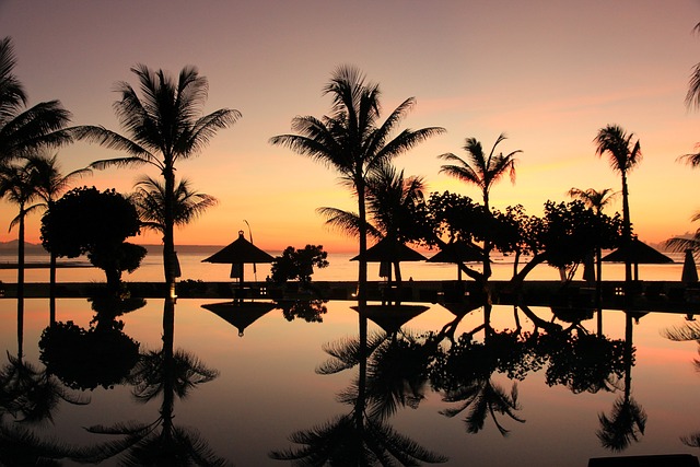 巴厘岛 棕榈树 日落 - 上的免费照片