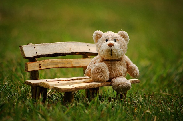 泰迪熊 填充玩具动物 乐趣 - 上的免费照片