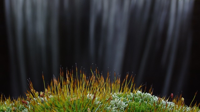 轻自然现象 照明设备 - 上的免费照片