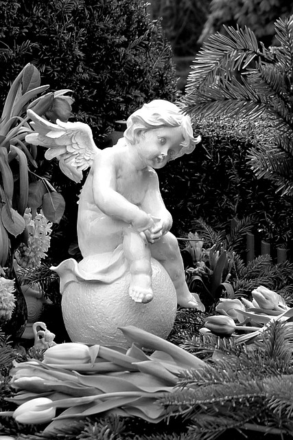 天使 白色的 装饰 - 上的免费照片