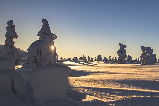 拉普兰 冬天 雪 - 上的免费照片