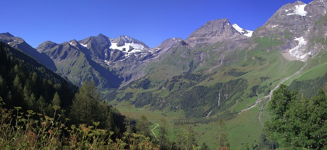 Hohe Tauern国家公园 而且位于费尔莱滕野生动物园 高恩山 - 上的免费照片
