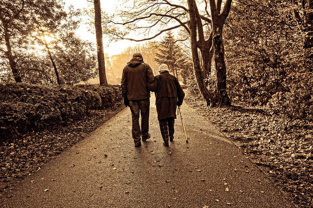 老年夫妇 步行 公园 - 上的免费照片