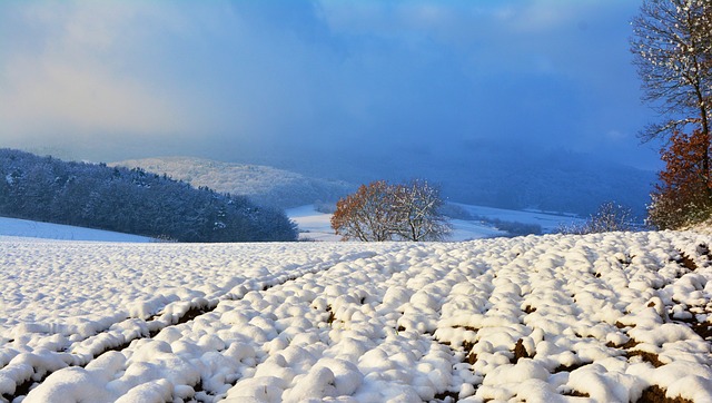 冬天 冬季景观 雪 - 上的免费照片