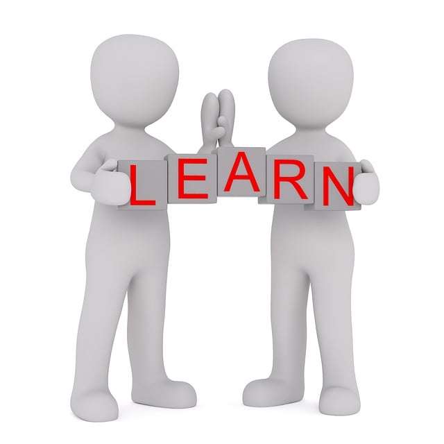 学习 学校 读 - 上的免费图片