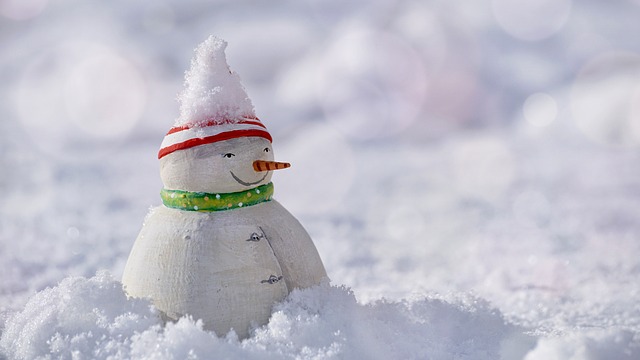雪人 雪 冬天 - 上的免费照片