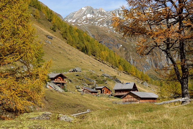 阿尔卑斯山 高山 阿尔姆 - 上的免费照片