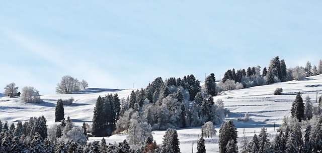 瑞士 阿尔卑斯山 山 - 上的免费照片