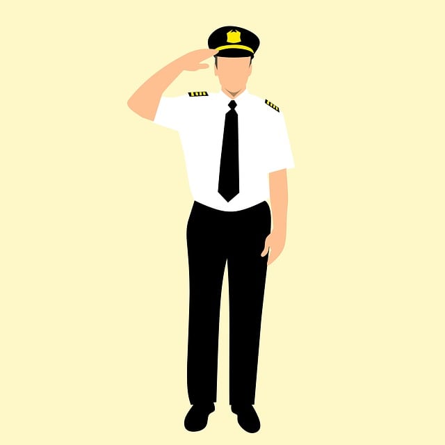 航空公司 徽章 帽 - 上的免费图片