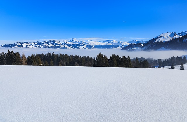 瑞士 阿尔卑斯山 瑞士阿尔卑斯山 - 上的免费照片