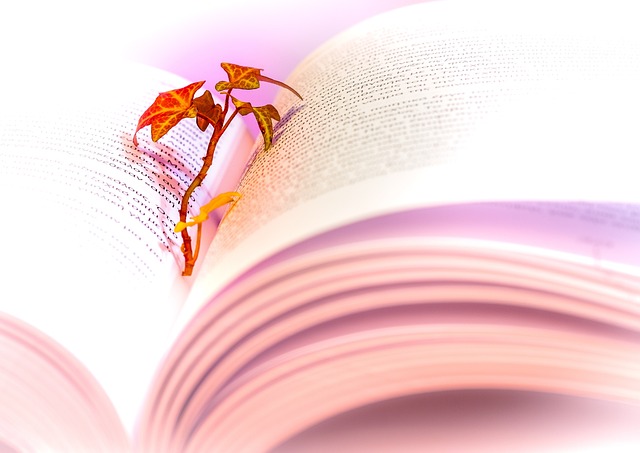 本书 阅读 文献 - 上的免费照片