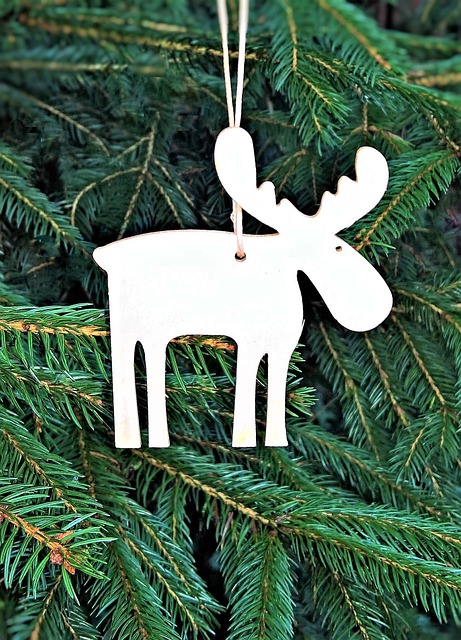 枞树 驼鹿 圣诞节 - 上的免费照片