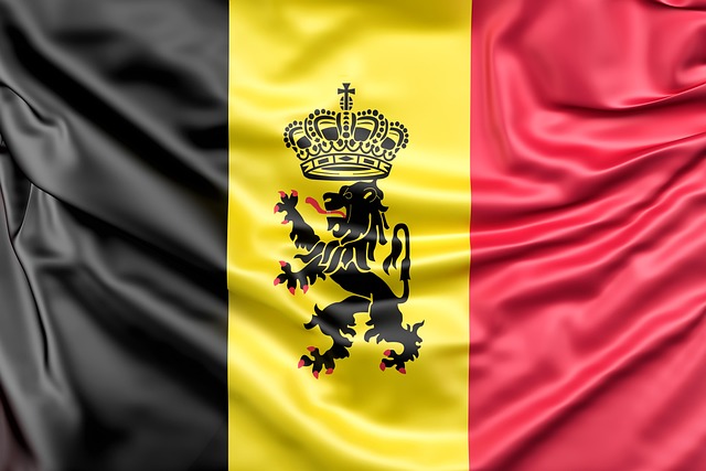 比利时 旗帜 比利时的旗帜 - 上的免费照片