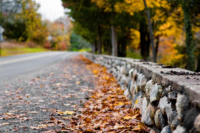 落下 自然 路 - 上的免费照片