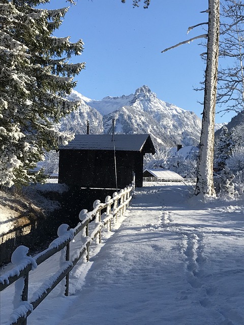 雪 冬天 寒冷的 - 上的免费照片