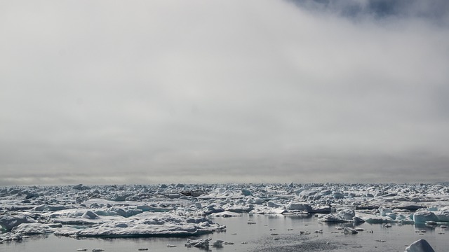 漂冰 冰山 冻结 - 上的免费照片