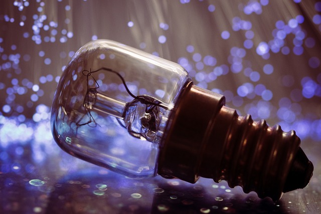 灯泡 灯 光 - 上的免费照片