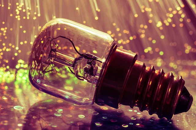 灯泡 灯 光 - 上的免费照片