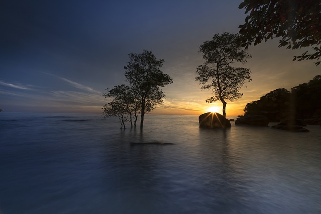 太阳 富国岛 岛 - 上的免费照片