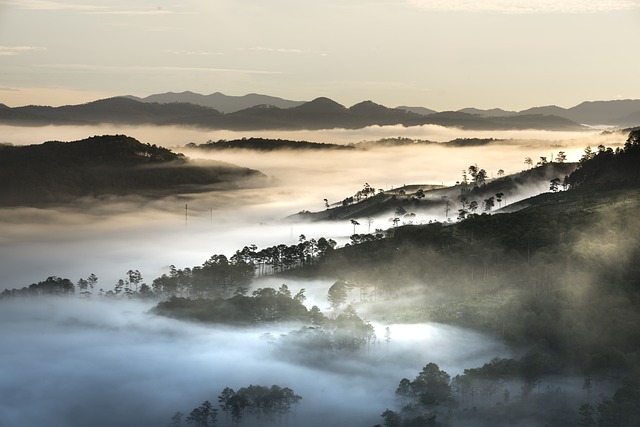 山 有雾的 越南 - 上的免费照片