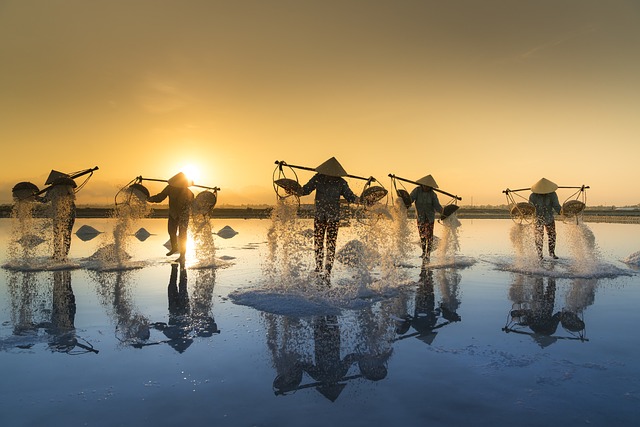 盐收获 越南 水 - 上的免费照片