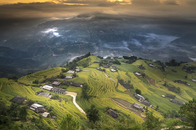 越南 米 场地 - 上的免费照片
