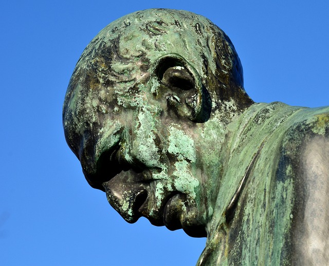 头 轮廓 弯曲 - 上的免费照片