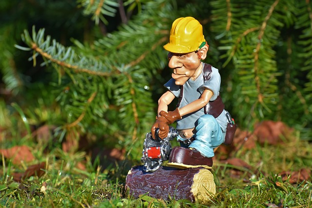 樵夫 林业工人 电锯 - 上的免费照片