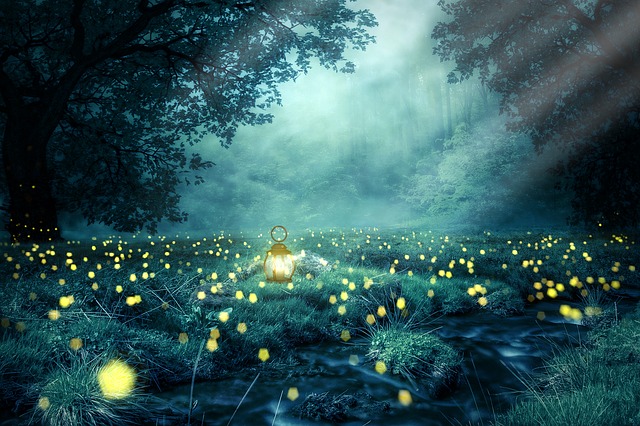夜晚 森林 萤火虫 - 上的免费图片