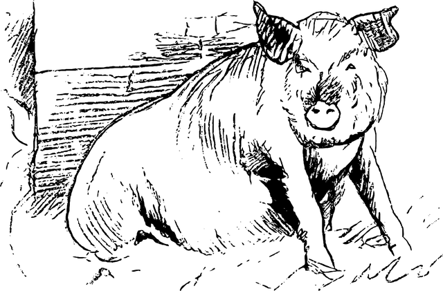 粉笔了 艺术 蚀刻 - 免费矢量图形