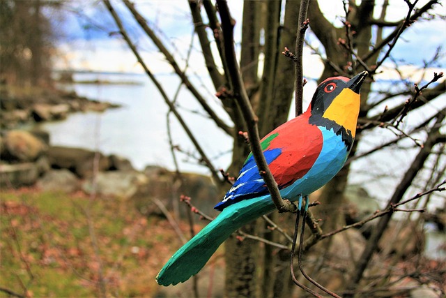 性质 鸟 木 - 上的免费照片