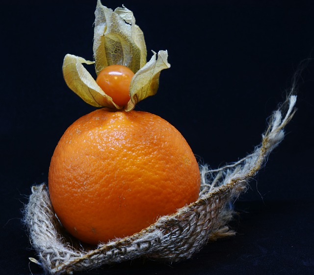 橙色的 酸浆 水果 - 上的免费照片