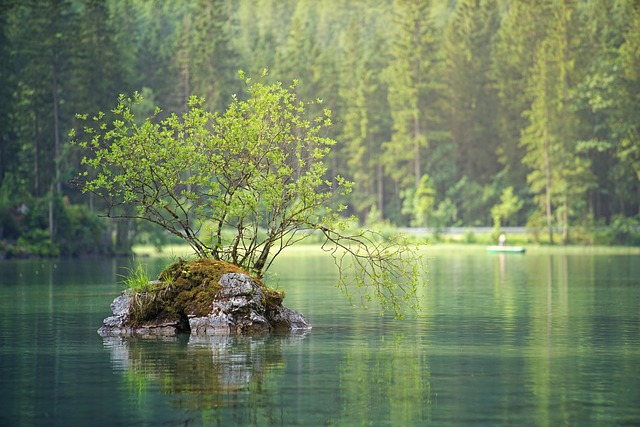 水域 自然 湖 - 上的免费照片