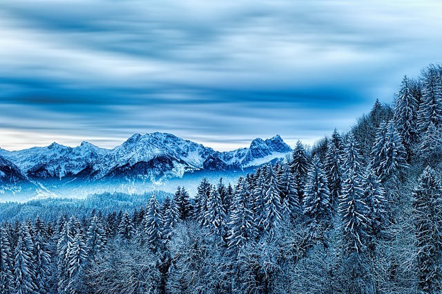 冬天 森林 山 - 上的免费照片
