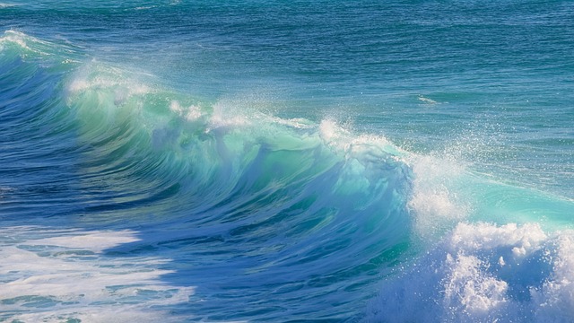 冲浪 水 海浪 - 上的免费照片