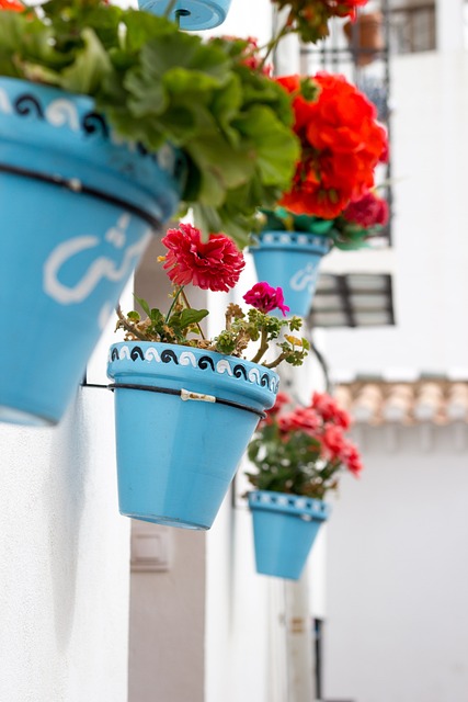 格拉纳达 静 阿尔拜辛 - 上的免费照片