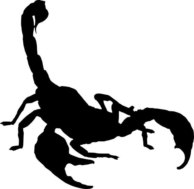 轮廓 蝎 孤立 - 免费矢量图形