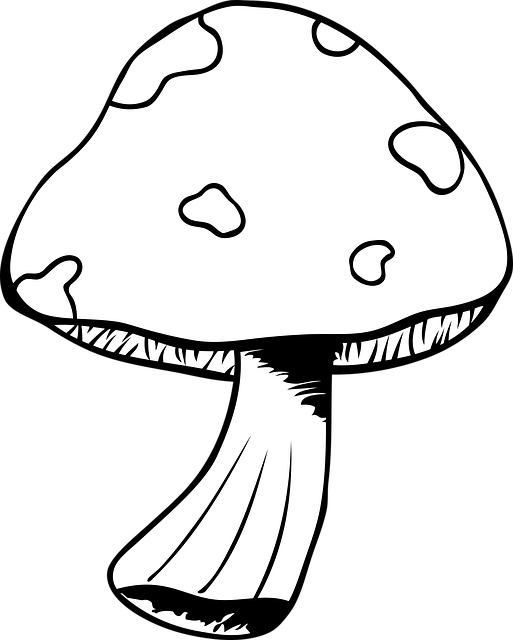 蘑菇 毒菌 灌木丛 - 免费矢量图形