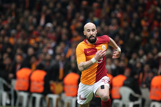 该Iasmin Latovlevic 加拉塔萨雷 土耳其电信 - 上的免费照片