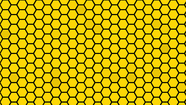 亲爱的 石膏 蜂窝 - 上的免费图片