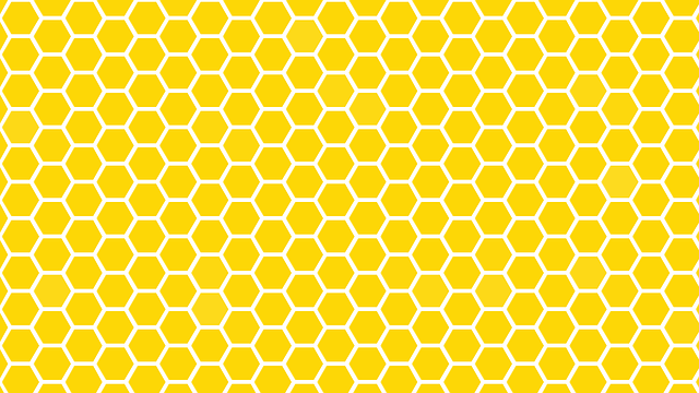 亲爱的 石膏 蜂窝 - 上的免费图片