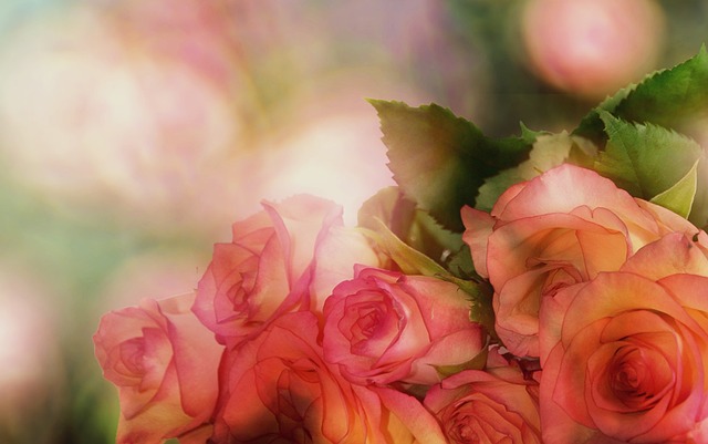 玫瑰 束玫瑰 花 - 上的免费照片