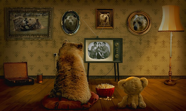 熊 泰迪熊 看电视 - 上的免费照片