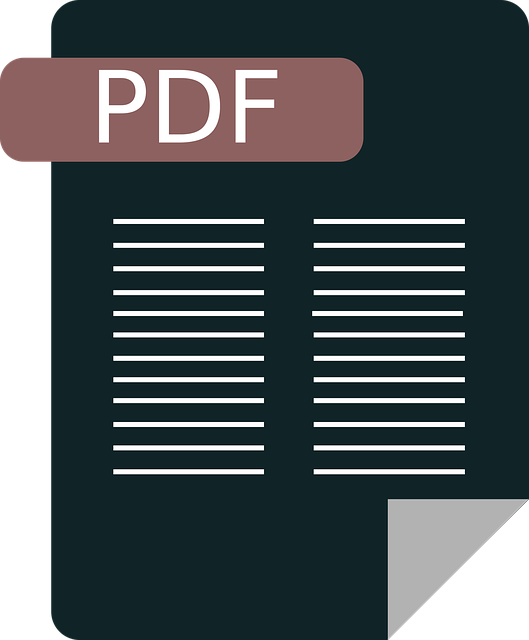 Pdf 图标 文档 - 免费矢量图形