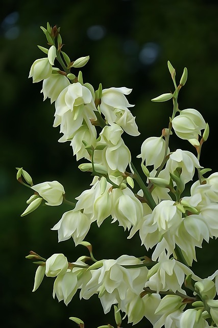 艺术 绘画 有创造力的 - 上的免费照片