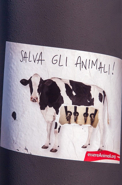 拯救动物 萨尔瓦Gli Animali 海报 - 上的免费照片