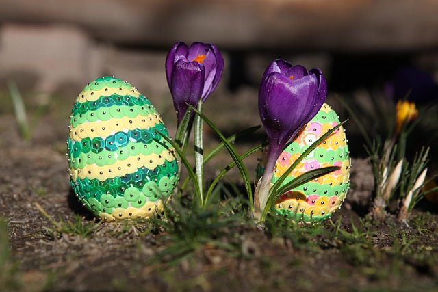 复活节 性质 外部 - 上的免费照片