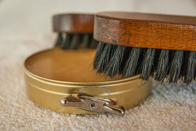 打蜡 刷子 胖的 - 上的免费照片