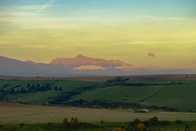 骗子 斯洛伐克 利普托夫 - 上的免费照片