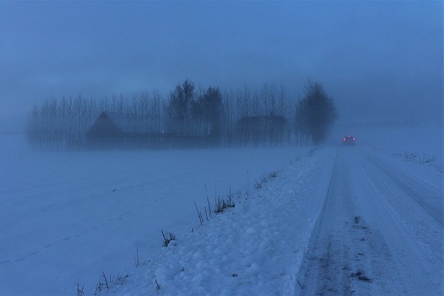 多雾路段 朦胧 冬天 - 上的免费照片